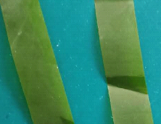 黃色膠紙檢測(cè)方案